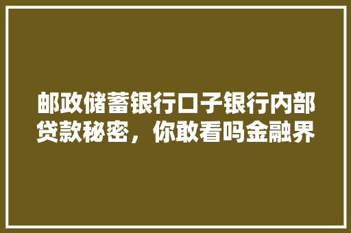 邮政储蓄银行口子银行内部贷款秘密，你敢看吗金融界的神秘面纱