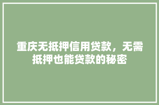 重庆无抵押信用贷款，无需抵押也能贷款的秘密  第1张
