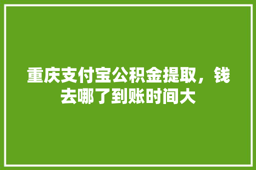 重庆支付宝公积金提取，钱去哪了到账时间大