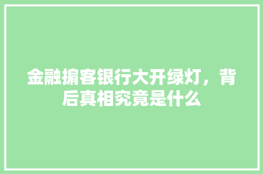 金融掮客银行大开绿灯，背后真相究竟是什么  第1张