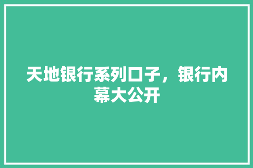 天地银行系列口子，银行内幕大公开