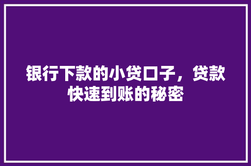 银行下款的小贷口子，贷款快速到账的秘密