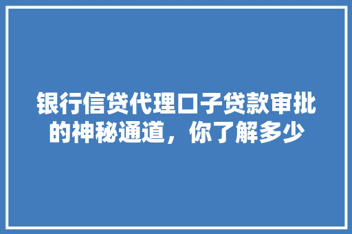 银行信贷代理口子贷款审批的神秘通道，你了解多少