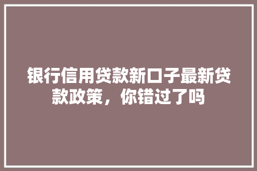 银行信用贷款新口子最新贷款政策，你错过了吗