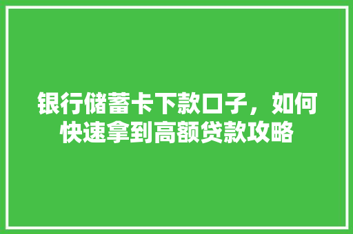 银行储蓄卡下款口子，如何快速拿到高额贷款攻略