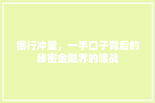 银行冲量，一手口子背后的秘密金融界的暗战