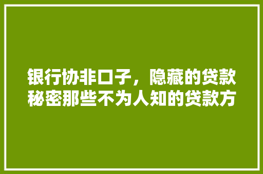 银行协非口子，隐藏的贷款秘密那些不为人知的贷款方法