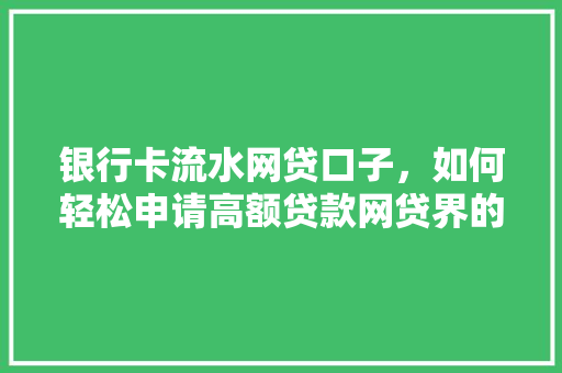 银行卡流水网贷口子，如何轻松申请高额贷款网贷界的绿色通道