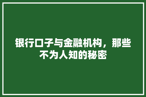 银行口子与金融机构，那些不为人知的秘密