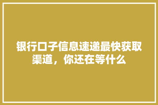 银行口子信息速递最快获取渠道，你还在等什么