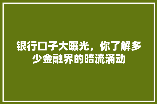 银行口子大曝光，你了解多少金融界的暗流涌动