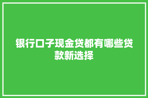 银行口子现金贷都有哪些贷款新选择