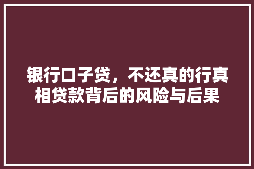 银行口子贷，不还真的行真相贷款背后的风险与后果