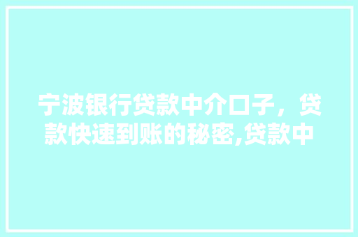 宁波银行贷款中介口子，贷款快速到账的秘密,贷款中介如何助你轻松贷款
