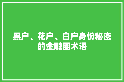 黑户、花户、白户身份秘密的金融圈术语