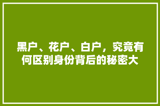 黑户、花户、白户，究竟有何区别身份背后的秘密大