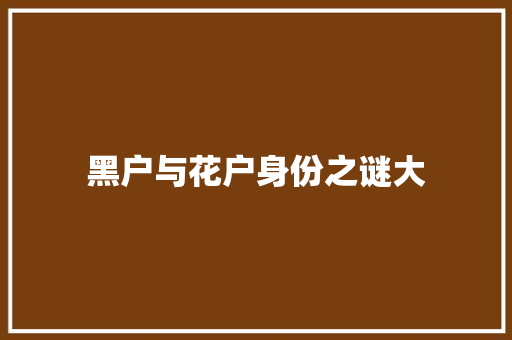黑户与花户身份之谜大