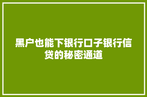 黑户也能下银行口子银行信贷的秘密通道