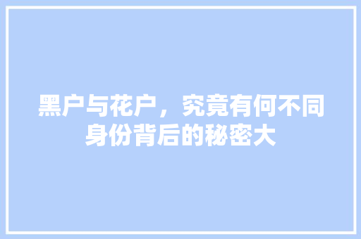 黑户与花户，究竟有何不同身份背后的秘密大
