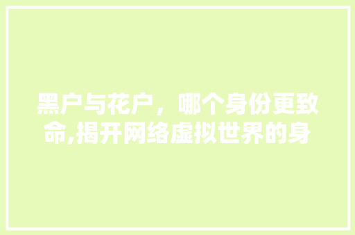 黑户与花户，哪个身份更致命,揭开网络虚拟世界的身份之谜  第1张
