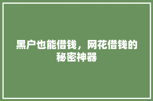 黑户也能借钱，网花借钱的秘密神器