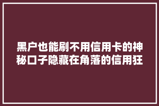 黑户也能刷不用信用卡的神秘口子隐藏在角落的信用狂欢