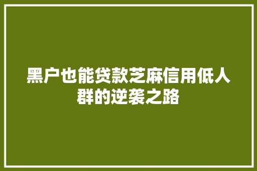 黑户也能贷款芝麻信用低人群的逆袭之路