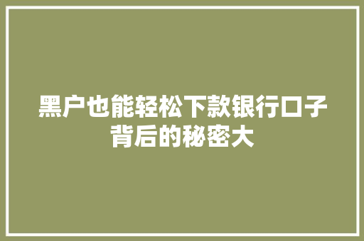 黑户也能轻松下款银行口子背后的秘密大