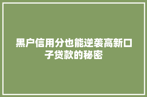 黑户信用分也能逆袭高新口子贷款的秘密