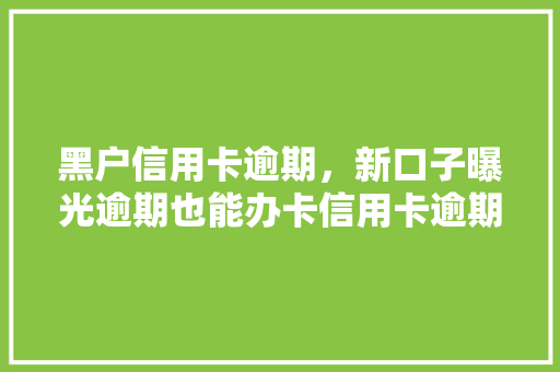 黑户信用卡逾期，新口子曝光逾期也能办卡信用卡逾期后的新选择