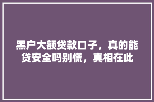 黑户大额贷款口子，真的能贷安全吗别慌，真相在此