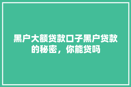 黑户大额贷款口子黑户贷款的秘密，你能贷吗