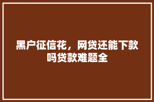黑户征信花，网贷还能下款吗贷款难题全