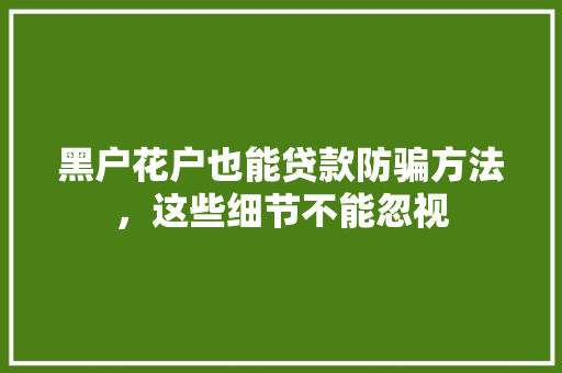 黑户花户也能贷款防骗方法，这些细节不能忽视
