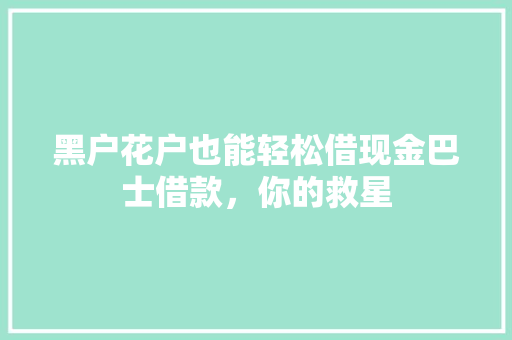黑户花户也能轻松借现金巴士借款，你的救星