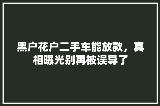 黑户花户二手车能放款，真相曝光别再被误导了