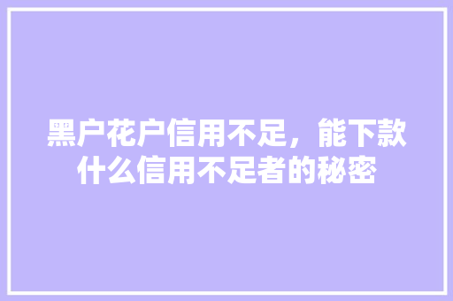 黑户花户信用不足，能下款什么信用不足者的秘密