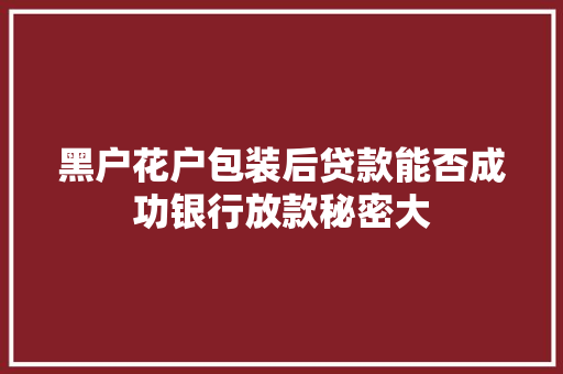 黑户花户包装后贷款能否成功银行放款秘密大