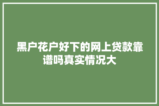 黑户花户好下的网上贷款靠谱吗真实情况大