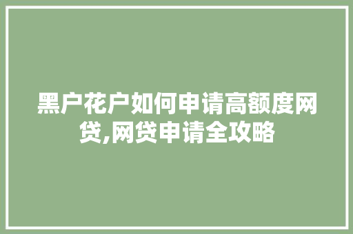 黑户花户如何申请高额度网贷,网贷申请全攻略