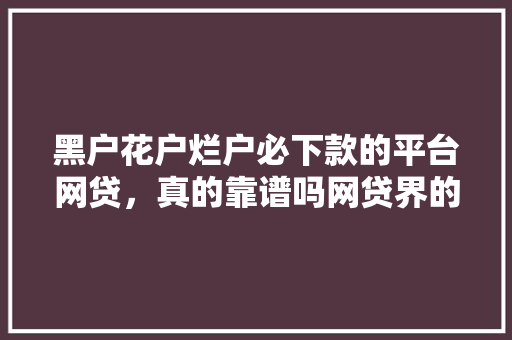 黑户花户烂户必下款的平台网贷，真的靠谱吗网贷界的神秘力量