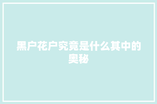 黑户花户究竟是什么其中的奥秘