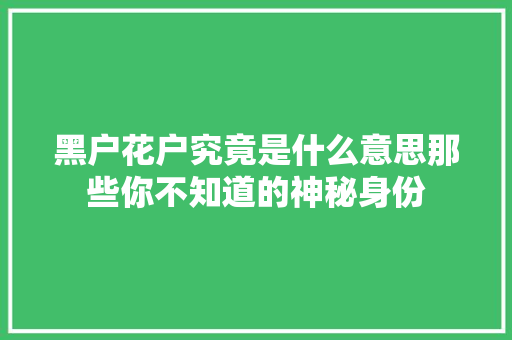 黑户花户究竟是什么意思那些你不知道的神秘身份