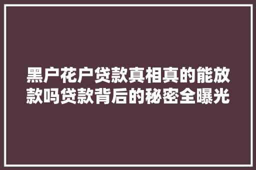 黑户花户贷款真相真的能放款吗贷款背后的秘密全曝光