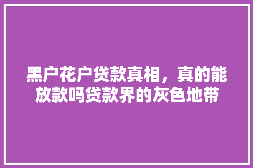 黑户花户贷款真相，真的能放款吗贷款界的灰色地带