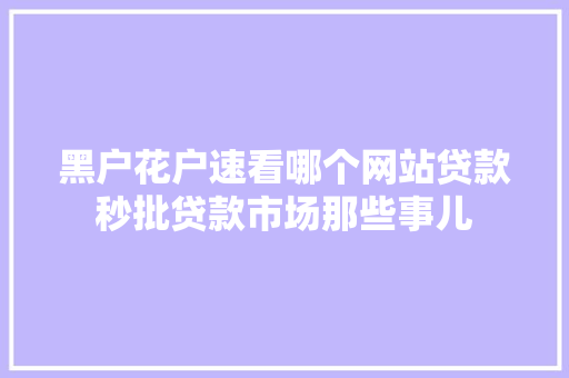 黑户花户速看哪个网站贷款秒批贷款市场那些事儿