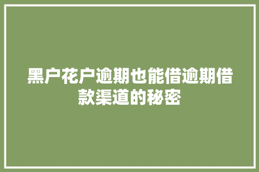 黑户花户逾期也能借逾期借款渠道的秘密