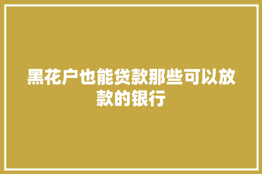 黑花户也能贷款那些可以放款的银行