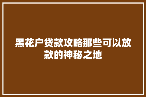 黑花户贷款攻略那些可以放款的神秘之地
