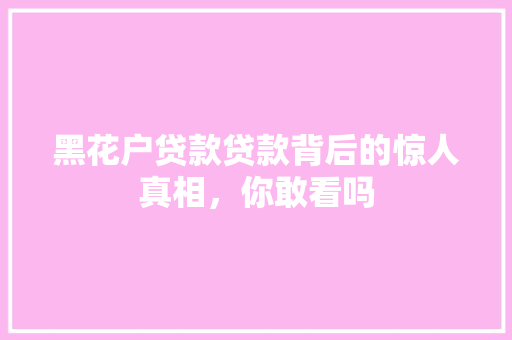 黑花户贷款贷款背后的惊人真相，你敢看吗